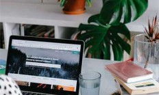 天涯社区海南农垦版块太乡了!老铁们说这是垦三代的根儿,每夜不忘盖楼唠烫                                                                                    😏