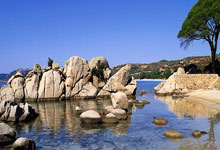 天涯社区扒王一博赵丽颖猛料大揭秘！